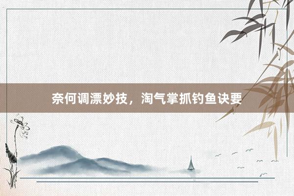 奈何调漂妙技，淘气掌抓钓鱼诀要
